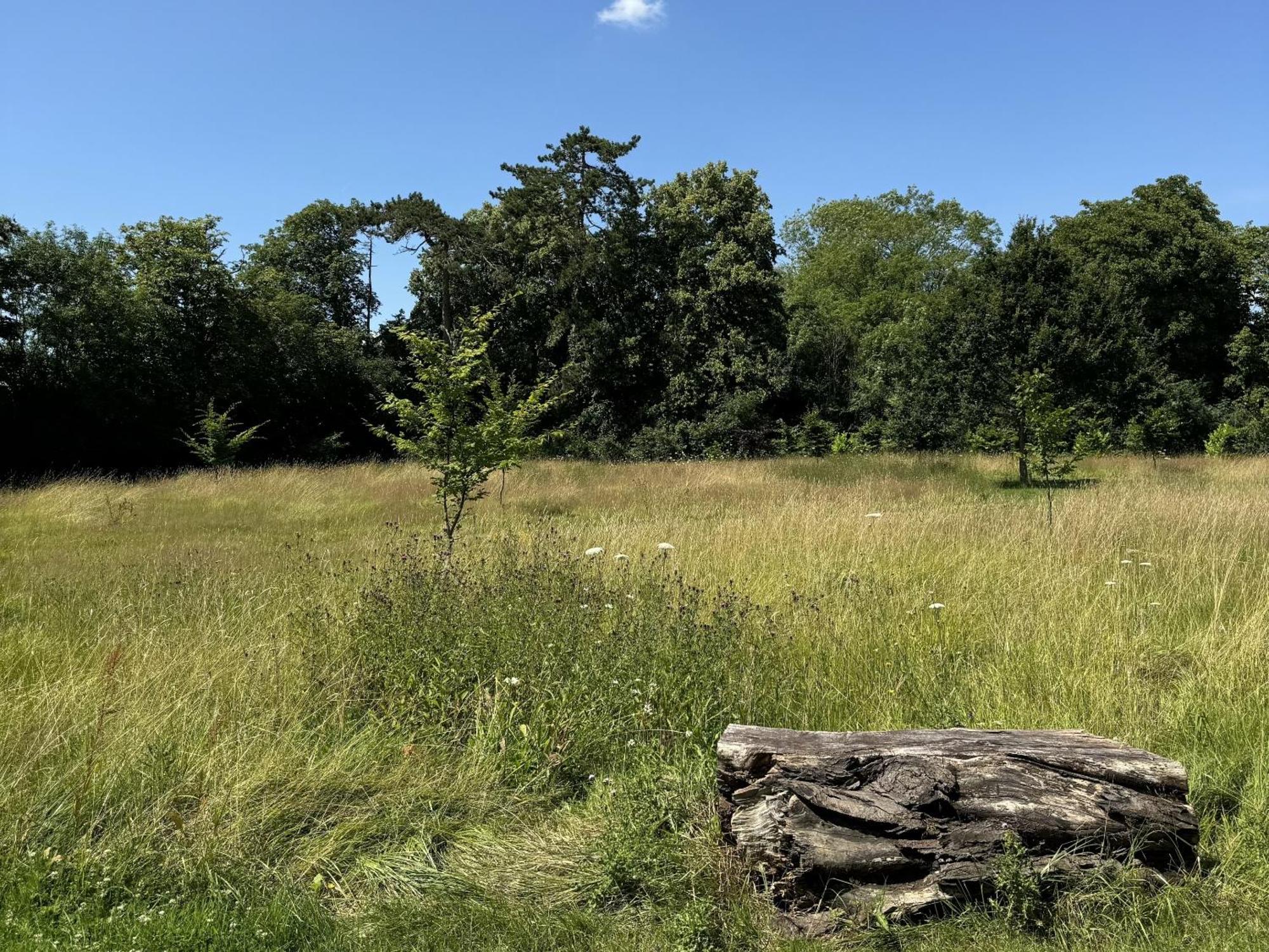Hookwood Lodge London Gatwick Хорли Экстерьер фото